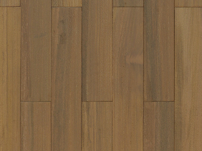333-圆盘豆PM012 910X123X18.jpg