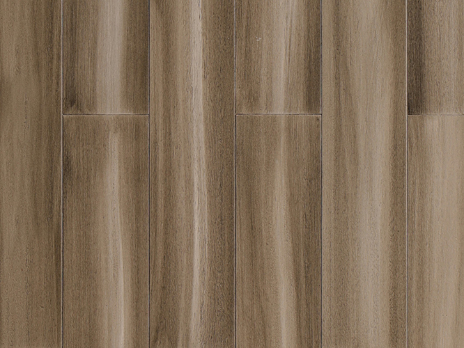 238-番龙眼-LHP-C8330 副本.jpg