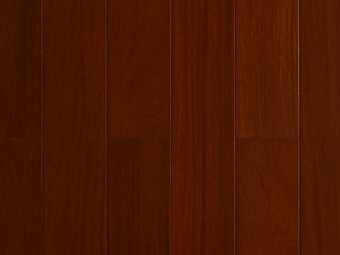 235-二翅豆-LHP-A8261 副本.jpg